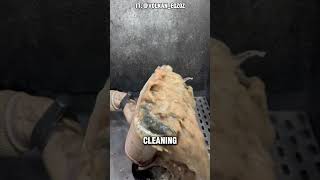 Cleaning Exhaust Filter shorts [upl. by Charles568]