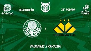 PALMEIRAS X CRICIUMA  15092024  BRASILEIRÃO  AO VIVO [upl. by Hobart989]