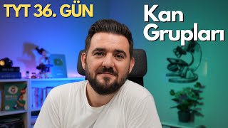 Kan Grupları  39 Günde TYT Biyoloji Kampı  36 GÜN  yks2025 [upl. by Naic]