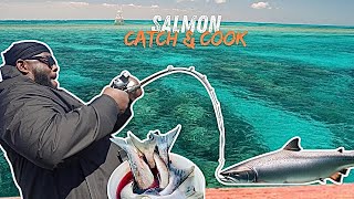 Salmon Fishing Catch And Cook How To Cook Salmon [upl. by Melinda]