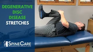 Degenerative Disc Disease Stretches  SpineCare Chiropractic in St Joseph MI [upl. by Castle60]