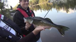 Csf 30 04 Wilderness Walleye Red Pine Wilderness Lodge Lady Evelyn Lake ON YouTube 4K [upl. by Hakeber]