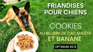 Friandises pour chiens fait maison  Blender le plus avancé  Optimum G26 [upl. by Amata]