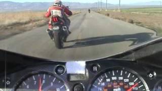 Suzuki SV1000 vs Hayabusa Just how much faster is the Busa [upl. by Claudina363]