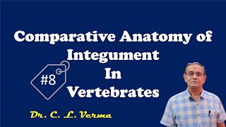 Comparative Anatomy of Integument in Vertebrates [upl. by Siana]