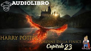 Audiolibro  Harry Potter e lordine della fenice  Lettura e Commento Cap 23 [upl. by Saidee]