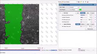 Lumaquant Wound Healing Tutorial [upl. by Acnaib]