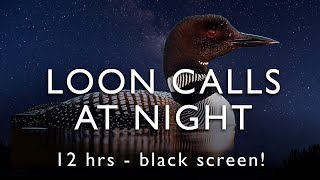 Loon Calls  On the lake at night  12 Hours  BLACK SCREEN [upl. by Etan]