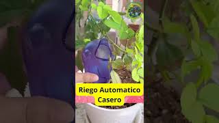 quotMétodos Efectivos para el Riego Automático de Plantasquot [upl. by Nydnarb]