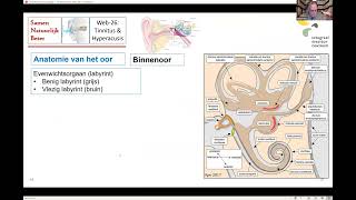 Webinar 26 Tinnitus en hyperacusis [upl. by Nannah]