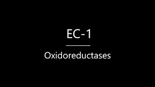 Oxidoreductases  Biochemistry for Beginners  HVMANITAS [upl. by Jehiah276]