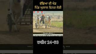 Ox Race  Fast Priz Pind Ghulal 2463youtubeshorts bullrider short [upl. by Udele]