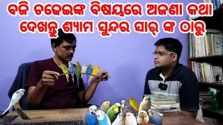 Budgie Bird Full Details Explained by Mr Shyam Sundar From Chirper Cage Size Food Caring Budgie [upl. by Peyton]