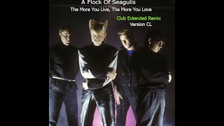 A Flock Of Seagulls The More You Live The More You Love Club Extended Remix Solo Audio [upl. by Ydaf]