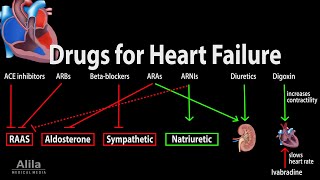 Pharmacology Drugs for Heart Failure Animation [upl. by Yespmed402]