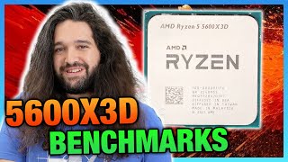 AMD Ryzen 5 5600X3D CPU Review amp Benchmarks Last Chance Upgrade [upl. by Mord75]