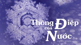 Sách Nói Thông Điệp Của Nước  Chương 1  Masaru Emoto [upl. by Atteynod312]