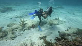 Puerto Morelos Mexico reef dive [upl. by Ailama]