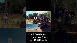 65 Creedmoor vs 12 oz can 830 yards [upl. by Adelia]