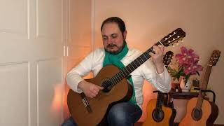 Lilliburlero Irish Folk Song Giuseppe Zangari Guitar [upl. by Leupold]