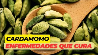 Beneficios del cardamomo para la salud enfermedades que cura [upl. by Sher844]