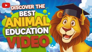 Discover the BEST Animal Education Video in Bright Colorful Illustrated Style [upl. by Robet]