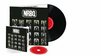 Omnivore NRBQ NRBQ reissue trailer [upl. by Sailesh]