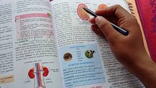 The Excretory system ICSE class 10th Biology explained only for revision [upl. by Adnirod469]