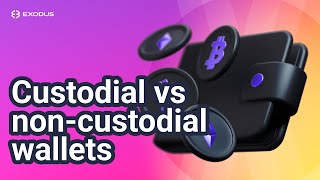 Custodial vs noncustodial selfcustodial crypto wallets and why it matters [upl. by Yonina521]