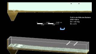 Strömungssimulation CFD Nachklärbecken Kläranlage ARA Hunziker Betatech AG Winterthur [upl. by Ahsima571]