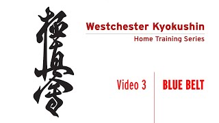 03 Westchester Kyokushin Karate BLUE BELT [upl. by Reviel]