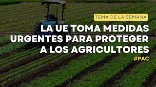 ¿Cómo PROTEGE la UE a los AGRICULTORES europeos [upl. by Ardiedal]