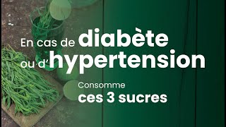 QUEL SUCRE CONSOMMER QUAND ON A LE DIABETE OU LHYPERTENSION [upl. by Morvin]