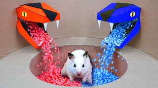 Hamster Escape 🛑 Prison Maze 🛑 Live Stream [upl. by Itnaihc]