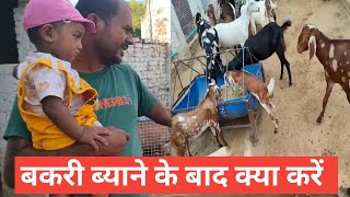 Bakri Byane Ke Baad Kya Sawdhani RakhenVimalumrao [upl. by Elissa]