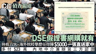 假學歷｜偽造DSE證書網上隨處發售 中介稱23萬可辦第三方認證｜01新聞｜01偵查｜假學歷｜DSE｜中學文憑試｜證書｜中介｜考評局 [upl. by Henghold]