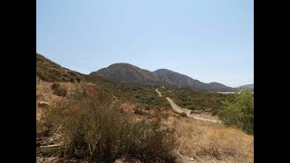 Cleghorn Ridge OHV Road Day Run [upl. by Eybbob751]