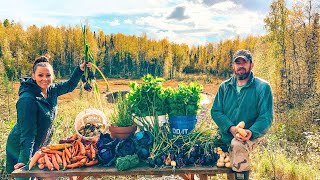 Remote Cabin Dock Work  Our 1st Alaskan Garden Harvest [upl. by Melisse]