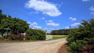 NC Farms and Plantations For Sale [upl. by Lim]