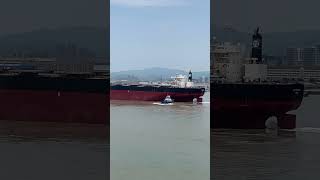 Shipyard  Zhoushan China 🇨🇳amazing youtubeshorts zhoushan china shipyard bilding море [upl. by Suzette]