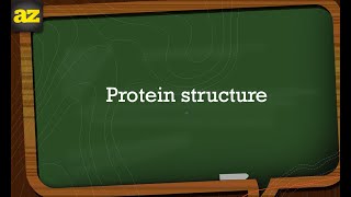 Protein Structure [upl. by Drusy]