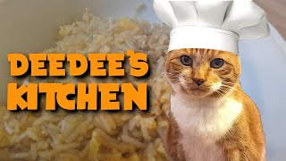 My Cats Kitchen  Episode 5 Kittylicious Egg Fried Rice  Cat Cooking Show [upl. by Jaquelyn]