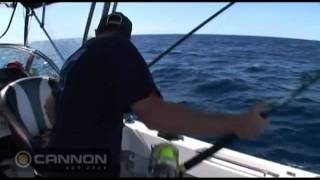 BLA  Cannon Downriggers  Live Baiting for Marlin in Port Stephens New South Wales [upl. by Enitsirt]