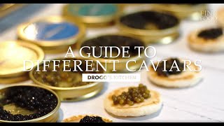 A Guide to Different Types of Premium Caviars  Drogos Kitchen  Fine Food Specialist [upl. by Ayerhs]