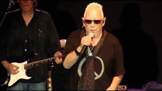 Eric Burdon Hondarribia Blues Festival 2013 [upl. by Stone746]