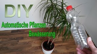 Automatische Pflanzenbewässerung aus PET Flasche selber machen – Bewässerungssystem bauen  DIY [upl. by Netsriik]