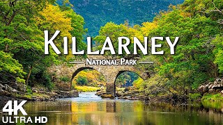 Killarney National Park 4K Ultra HD  Stunning Footage Scenic Relaxation Film with Calming Music [upl. by Irehj]