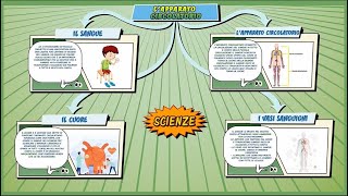 Lapparato circolatorio  Scienze  ComicsampScience  Schooltoon  Elementari e Medie [upl. by Meehaf]