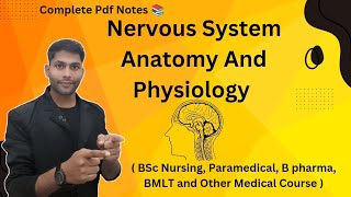 Nervous System in Hindi  Neurons  Central amp Peripheral Nervous System  Functions [upl. by Pell]