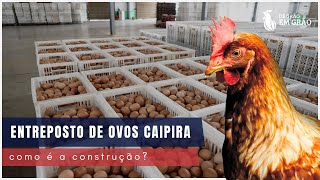 Como funciona um ENTREPOSTO de OVOS CAIPIRA Detalhes construção e equipamentos  E38 [upl. by Zandt39]